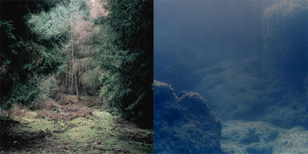 Daniel Gustav Cramer