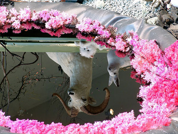 Gerda Steiner & Jörg Lenzlinger